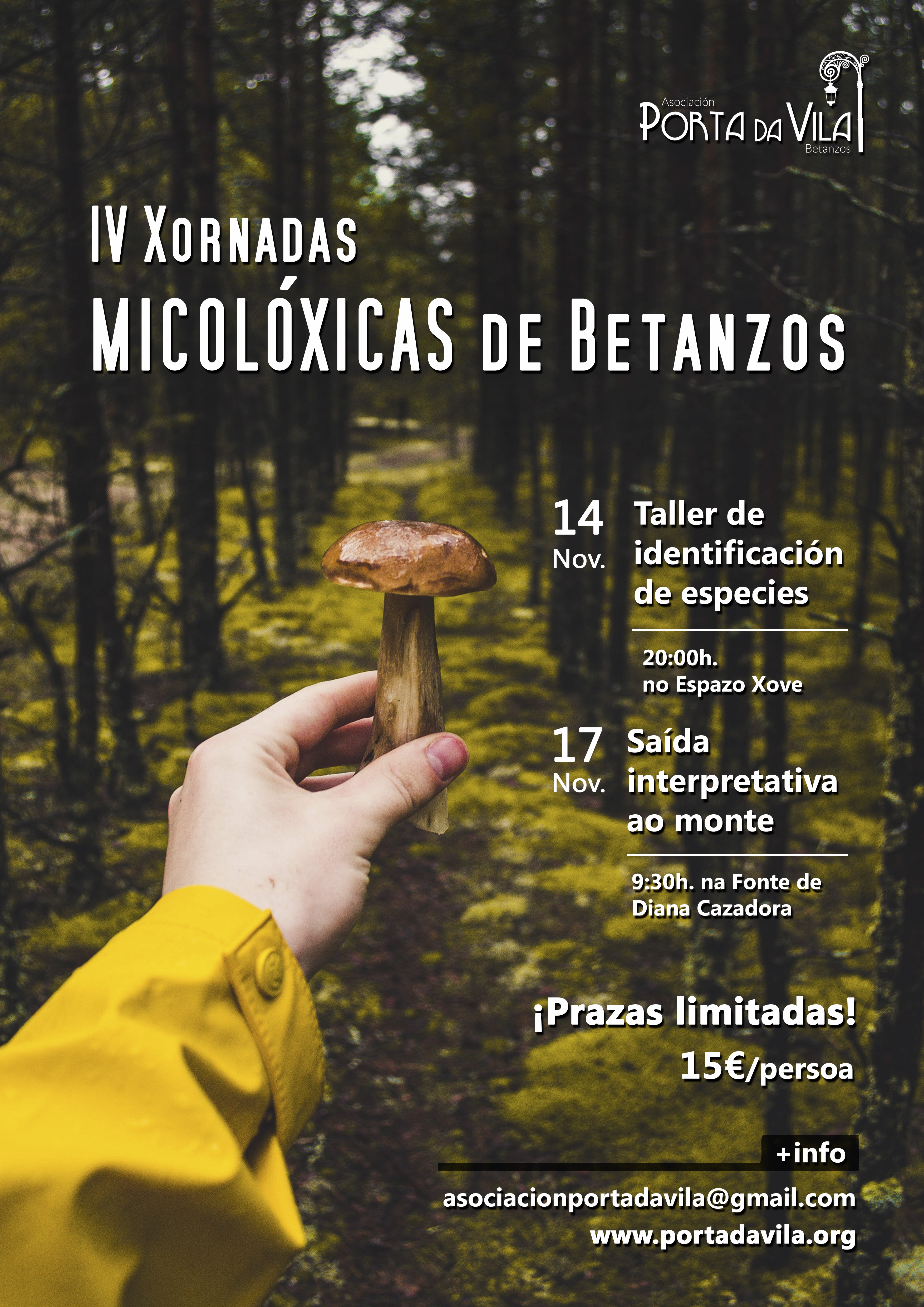 cartel-iv-xornadas-micoloxicas-betanzos-FINAL